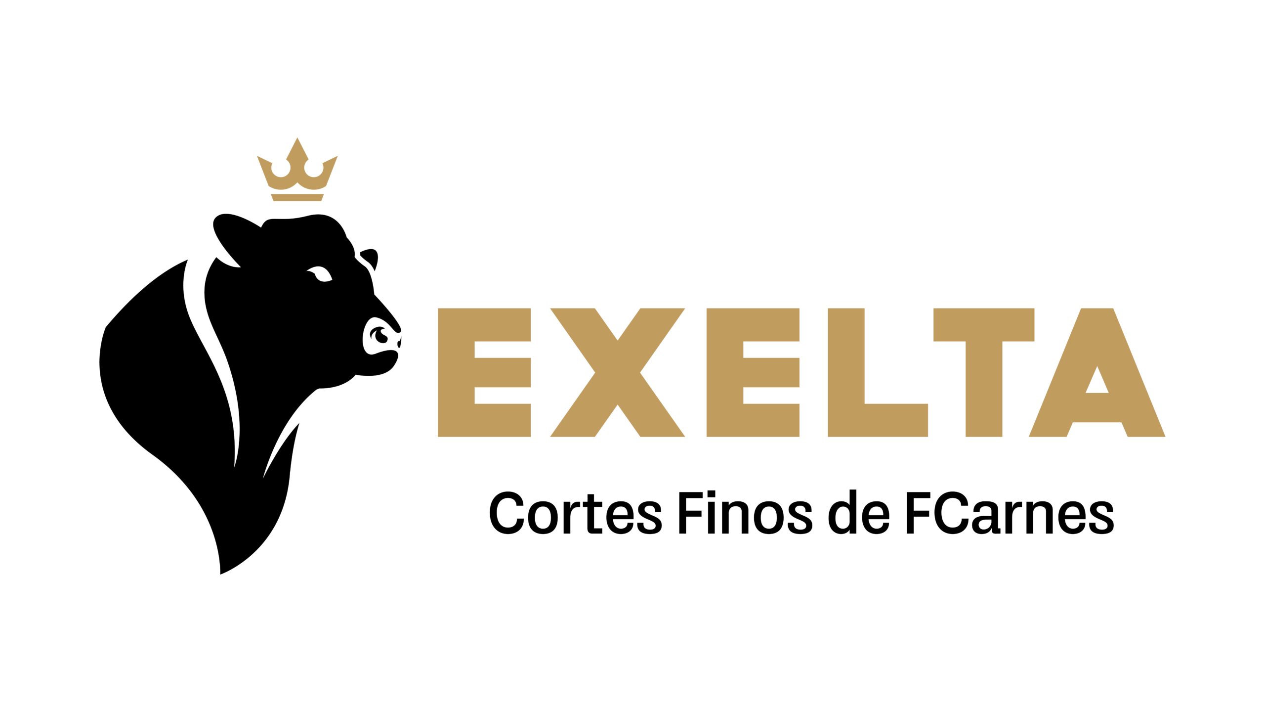Excelta